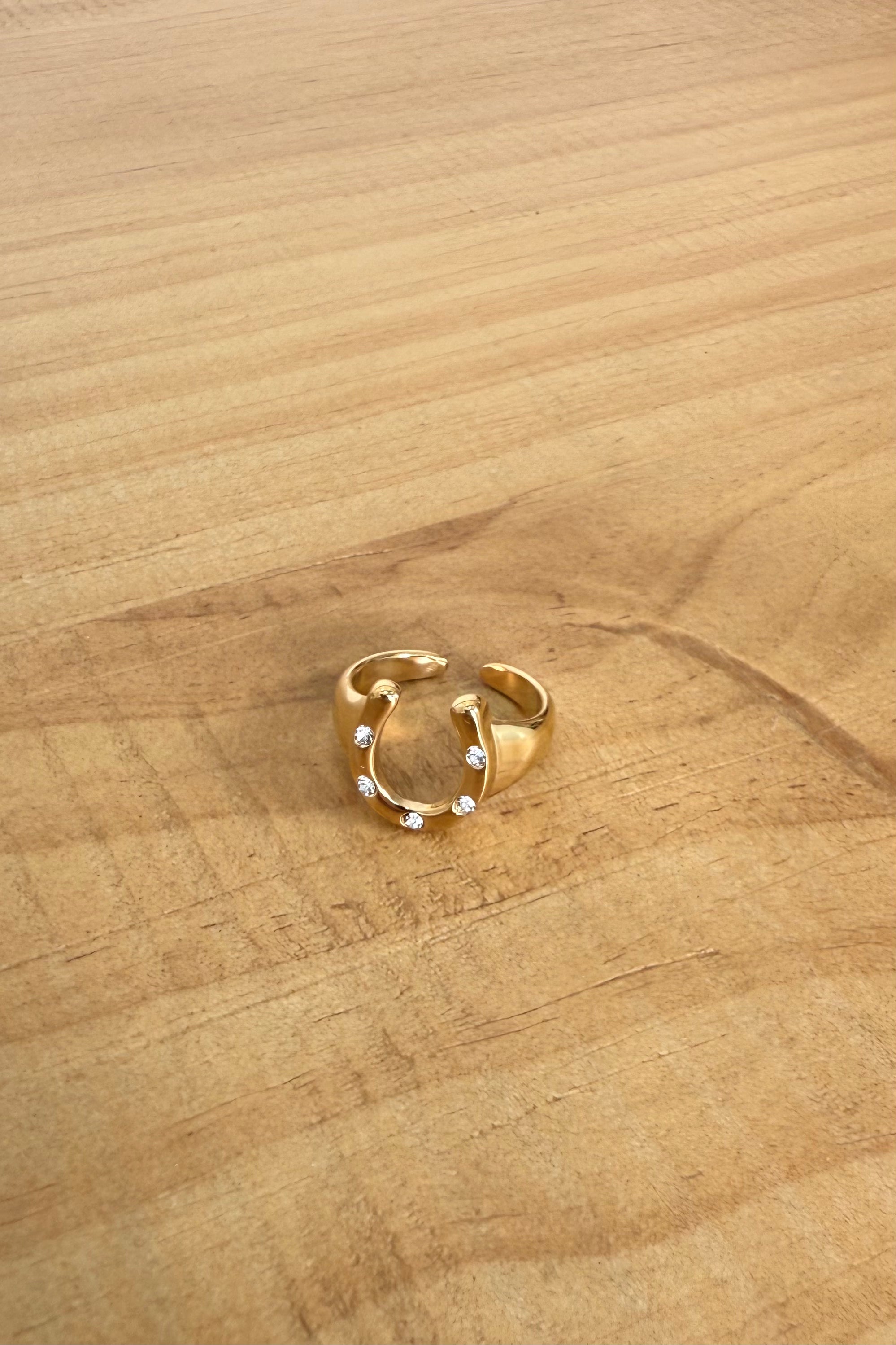 Lucky Break Horseshoe Ring