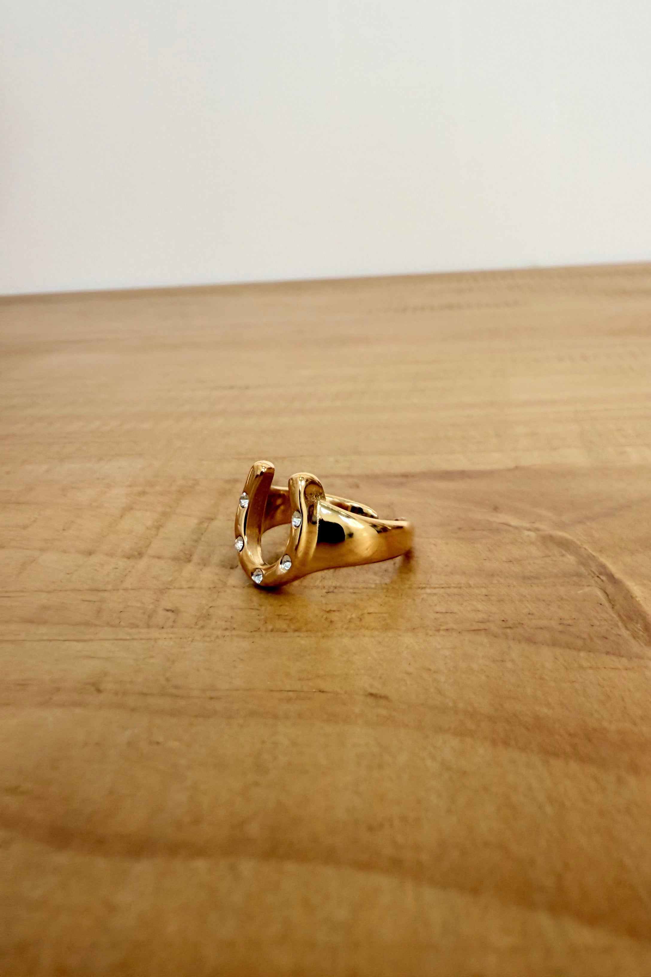 Lucky Break Horseshoe Ring