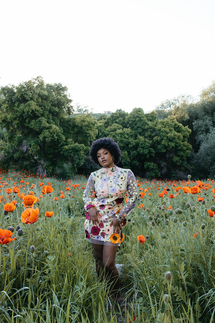 Genevieve Embroidered Floral Dress