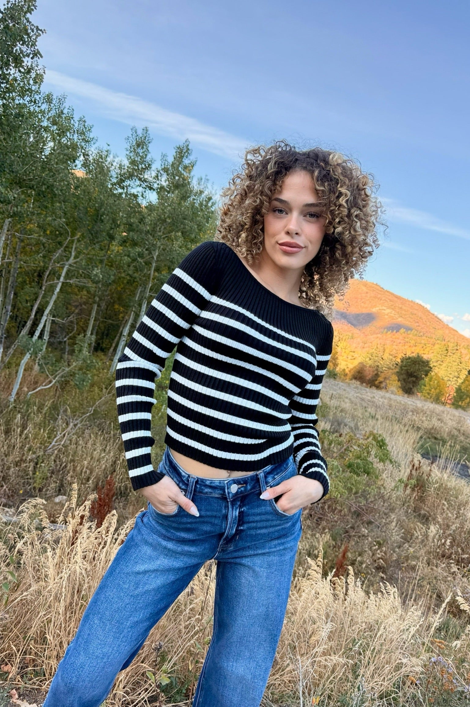 Autumn Restoration Stripe Top