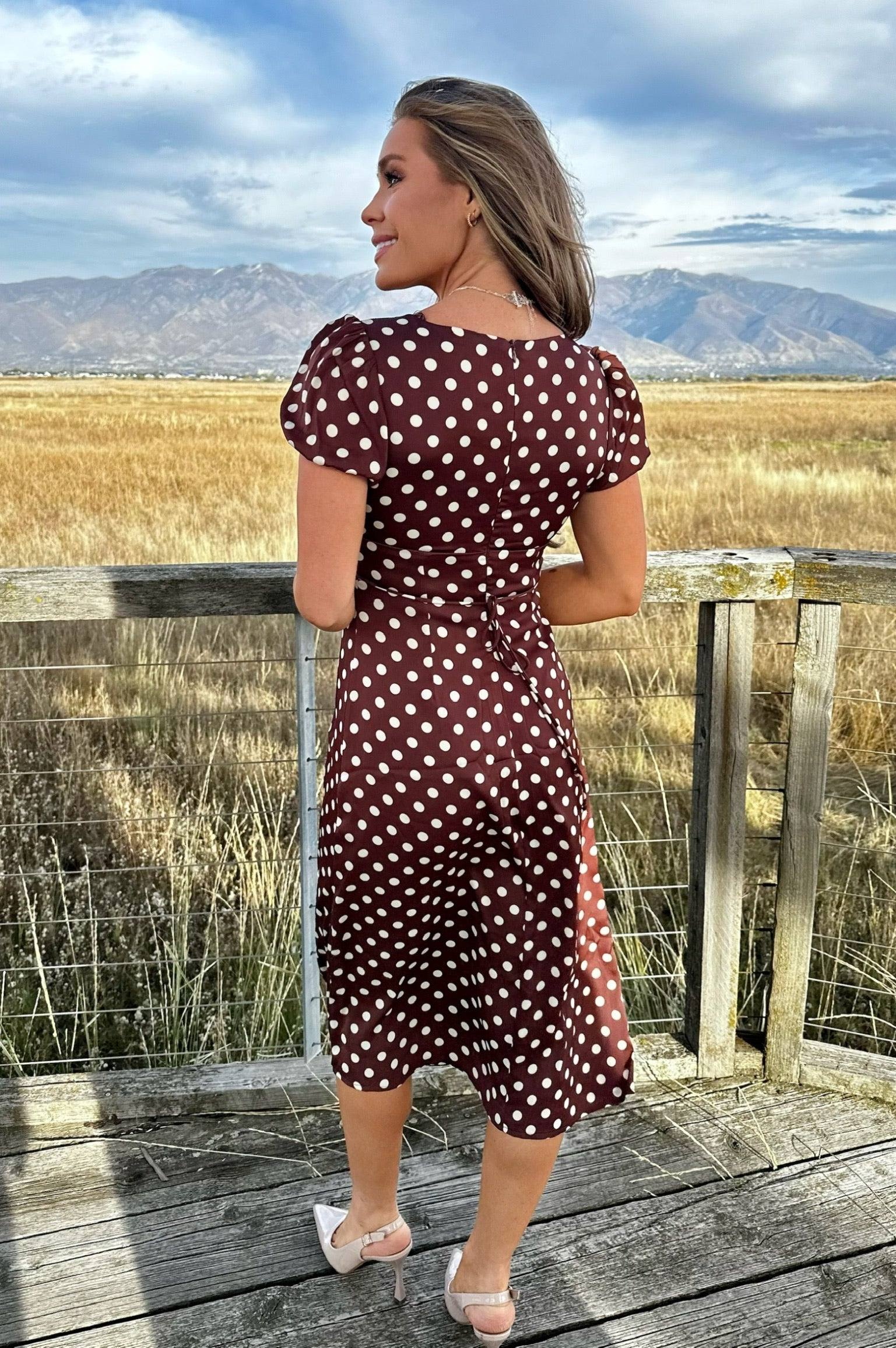 Brownstone Dots Midi Dress