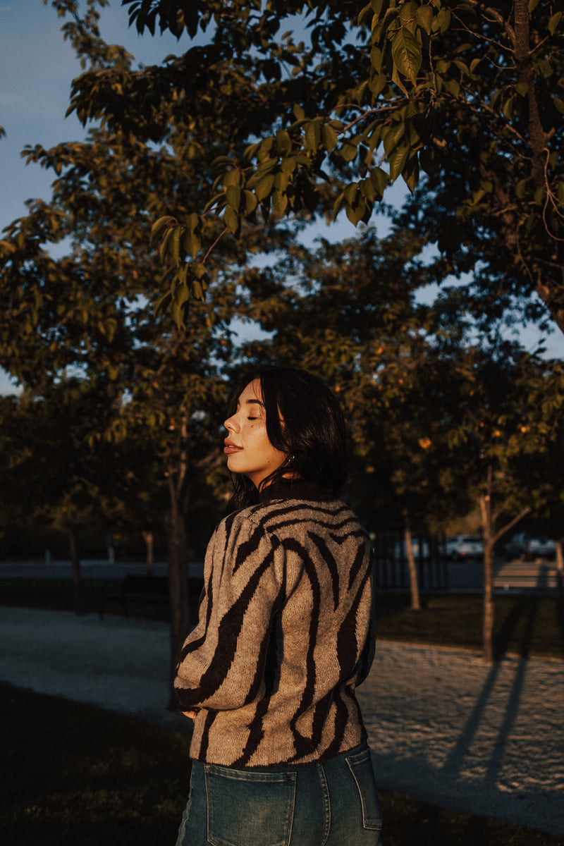 Zebra Mock Neck Sweater - FINAL SALE